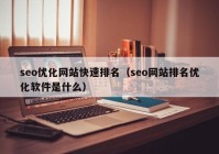 seo优化网站快速排名（seo网站排名优化软件是什么）