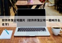 软件开发公司图片（软件开发公司一般叫什么名字）